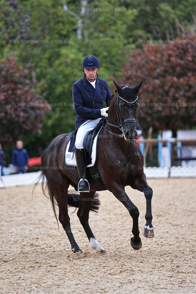 12-085-DRESSUR  S___  -Marixx-5252 | working equitationturnier fotograf videograf stoibphotography marixx film working equitation deutschland reitsport turnierfotografie eventfotografie equestrian events