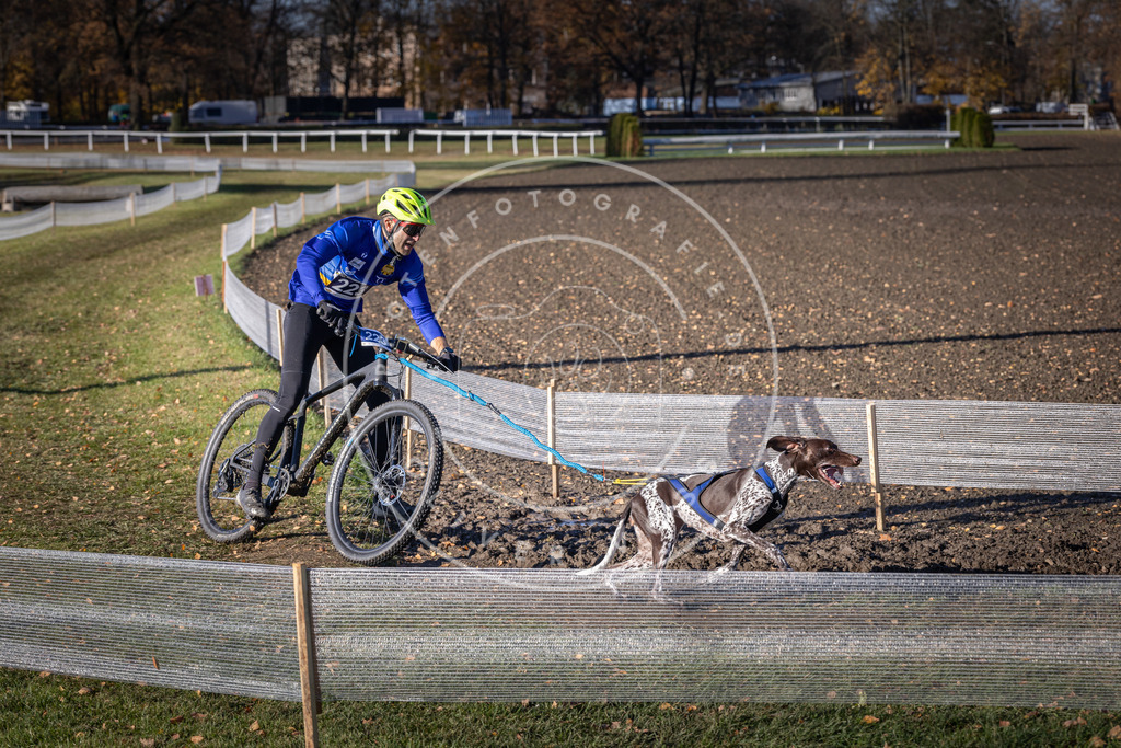 CaniXpix_DV3A3548 | Hundefotografie, Tierfotograf, Pfotenfotografie, Fotoshooting Hund, Hunde Portrait, Hundesport, Hundeportraits, Heideshooting, Hunde, Sportfotograf, Hundefotograf, Turnierhundsport, THS,  - Realisiert mit Pictrs.com