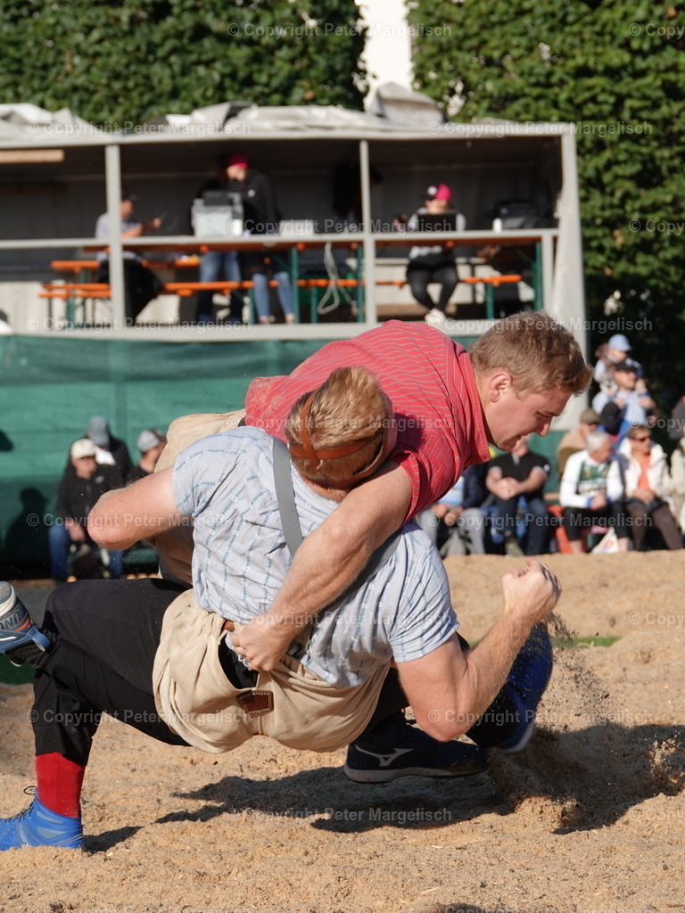 DSC05533 | Schwingen - Realisiert mit Pictrs.com