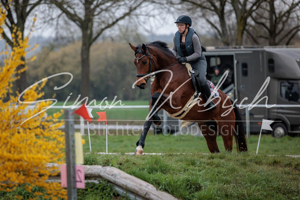 20260329-_3LI4021 | Tierfotografie Pferde, Hunde, Katzen, Haustiere.
Turnierfotografie Reitturniere, Reiten, Springreiten, Dressur in Hanau, dem Main-Kinzig-Kreis und dem Rhein-Main- Gebiet um Frankfurt