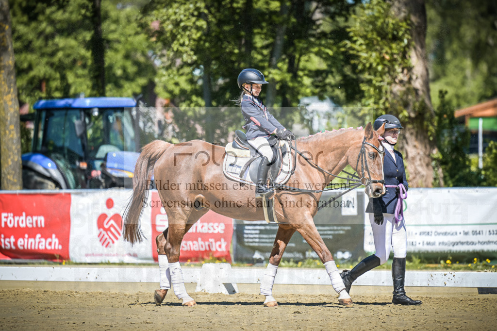 DOS_8830 | Entdecke hochwertige Reitturnierfotos von Foto Oger. Professionell, emotional und authentisch – jetzt Lieblingsmomente im Shop bestellen. - Realisiert mit Pictrs.com