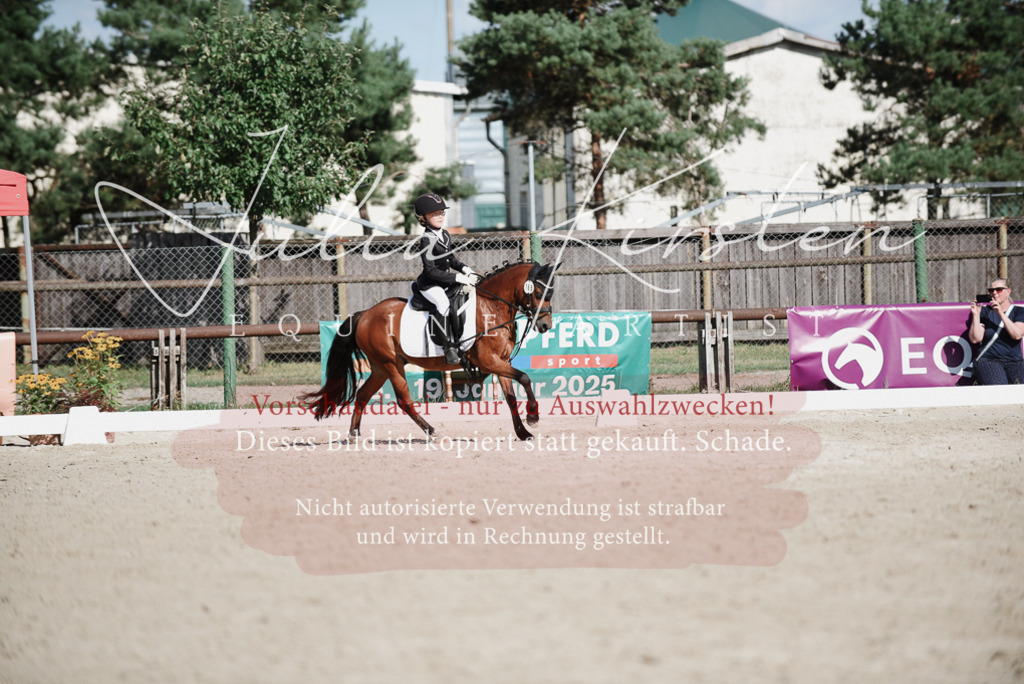 DSC_0153 | Pferde- und Turnierfotografie in Westsachsen. Pferdeportraits, Auftragszeichnungen und intuitive Kunst.