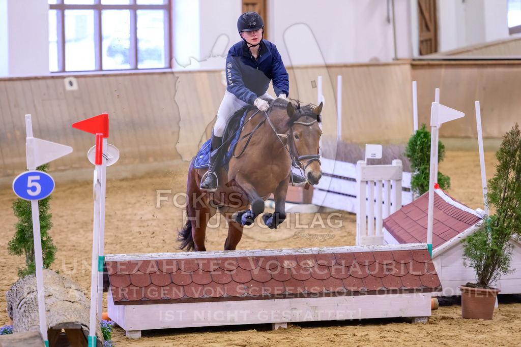 29032026-Schwaiganger-Prfg01-033 | Fokus Hufschlag Fotografie - Realisiert mit Pictrs.com