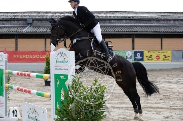 2B4A1131 | pixelfaenger - Realisiert mit Pictrs.com