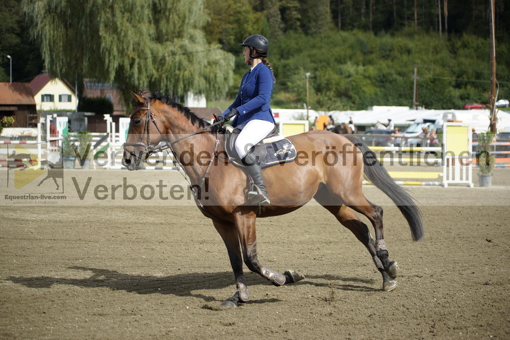 _DSC4358 | equestrian-live-com