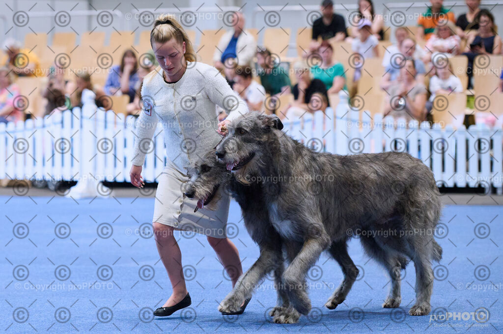 202406_ÖKV-IHA-Tulln24_DSC_3721 | proPHOTO - Realisiert mit Pictrs.com
