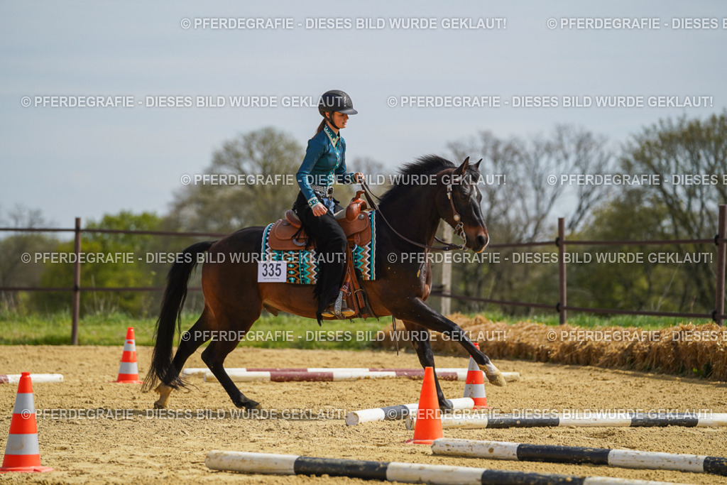 DSC04311 | Pferdegrafie