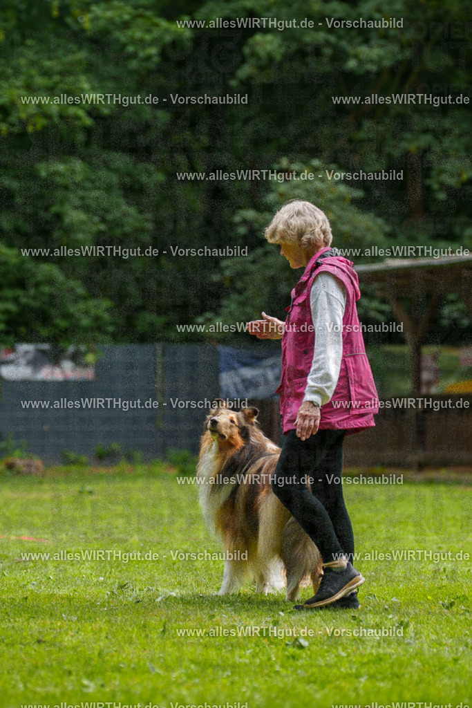 @allesWIRTHgut_Tierfotografie - www.allesWIRTHgut.de - 095244-7R507790 | Professionelle Tierfotografie in Mönchengladbach von Daniel Wirth (allesWIRTHgut). Liebevolle & natürliche Bilder von Hunden & Katzen für unvergessliche Erinnerungen.