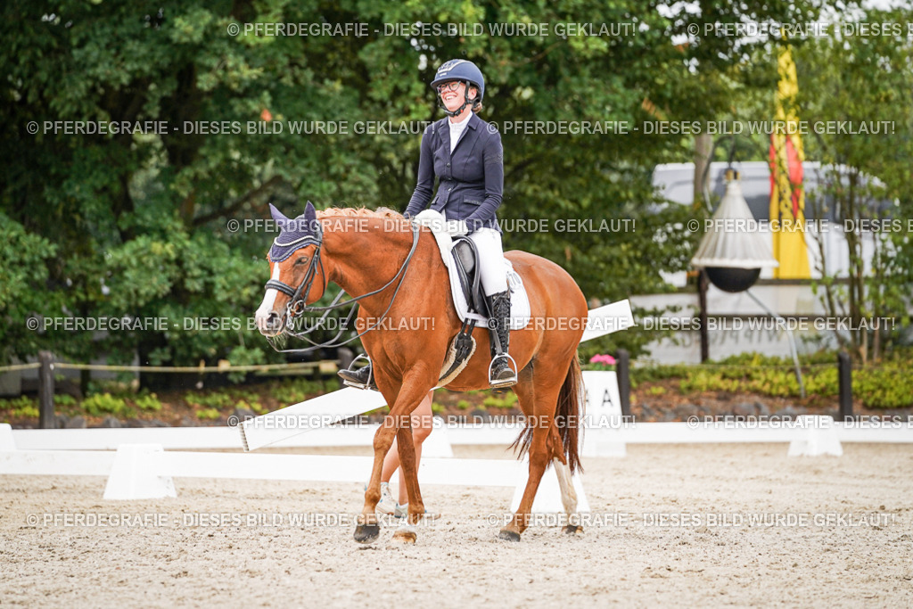 DSC07119 | Pferdegrafie