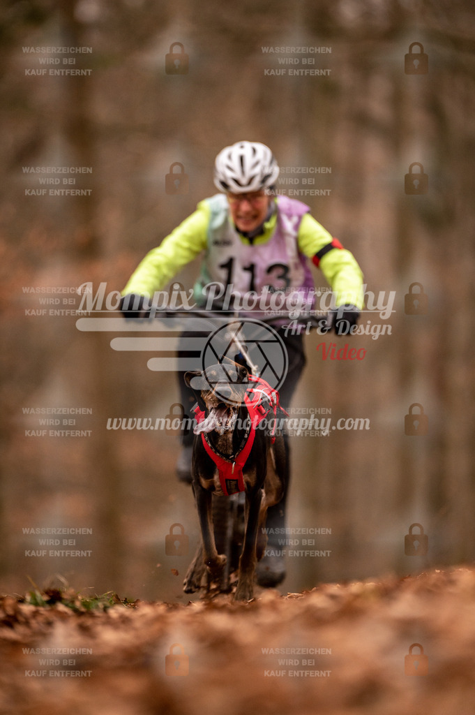 AKM_ST_2023_Son_Bike-93 | PayLife