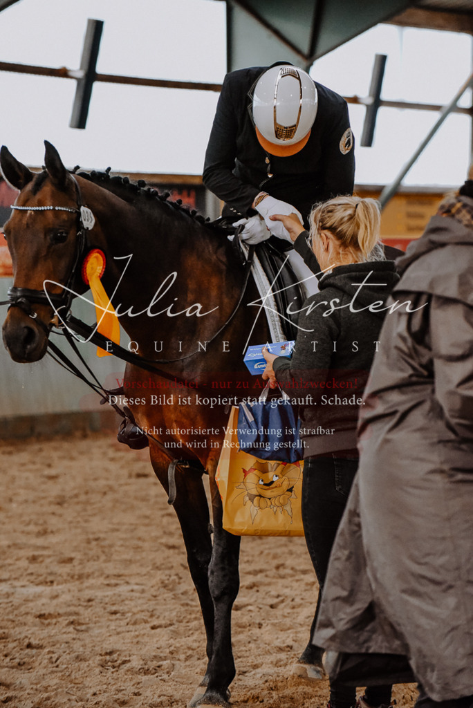 DSC_7596 | Pferde- und Turnierfotografie in Westsachsen. Pferdeportraits, Auftragszeichnungen und intuitive Kunst.