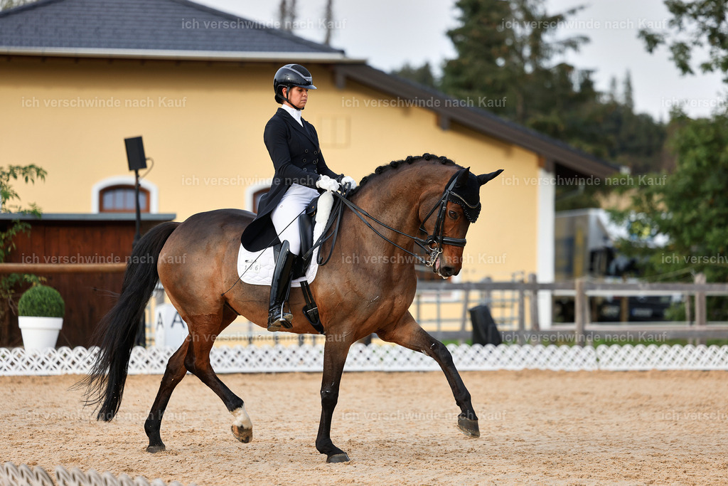13-186-S___ -StoibPH-7014 | working equitationturnier fotograf videograf stoibphotography marixx film working equitation deutschland reitsport turnierfotografie eventfotografie equestrian events