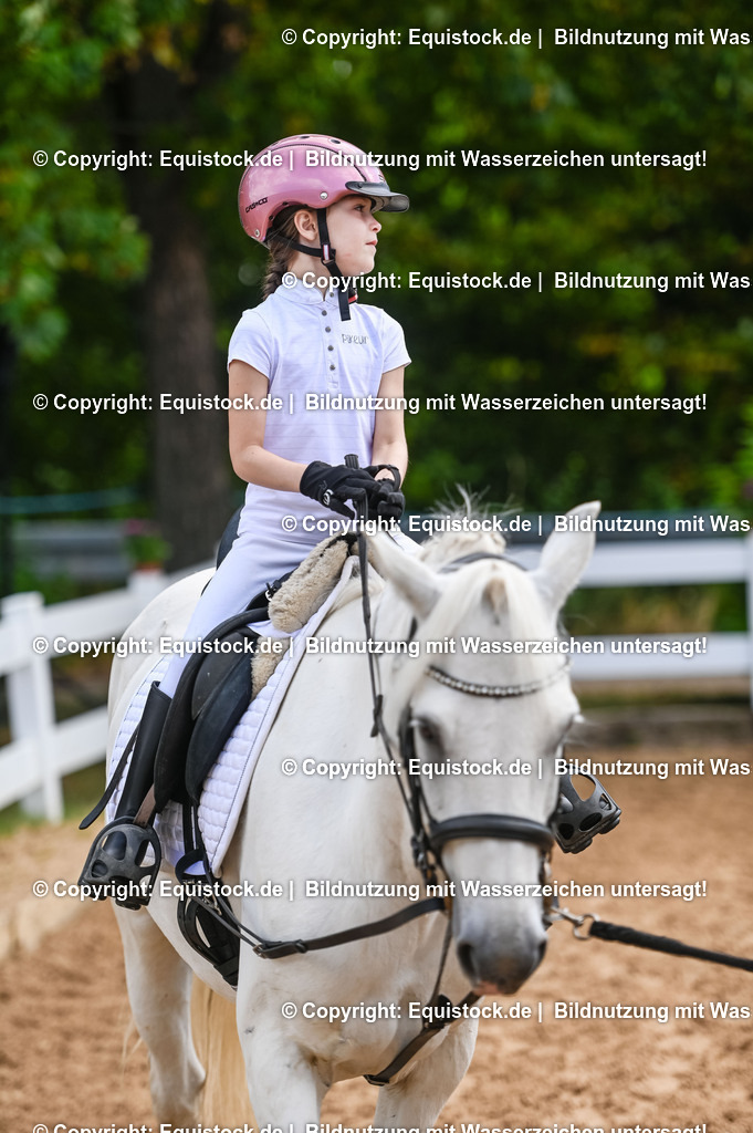 20230716_11_Führzügel-WB_0162 | equistock
