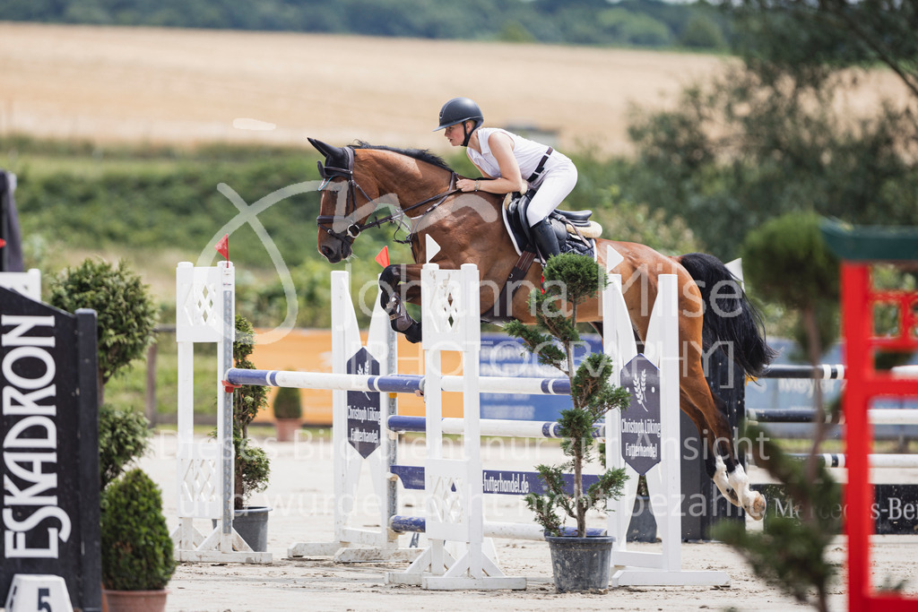 250629_PfSpTa_2Ph-M1-713 | Deine schönsten Turniermomente als professionelle Fotos! Entdecke hochwertige Pferdesport-Fotografie im Online-Shop. Jetzt Fotos finden & bestellen!