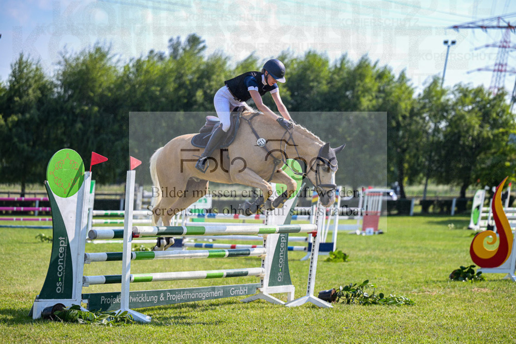 Reitturnier Voxtrup | Entdecke hochwertige Reitturnierfotos von Foto Oger. Professionell, emotional und authentisch – jetzt Lieblingsmomente im Shop bestellen.Deutschlandweite Turnierfotografie. - Realisiert mit Pictrs.com