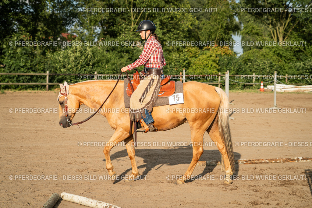 DSC06114 | Pferdegrafie