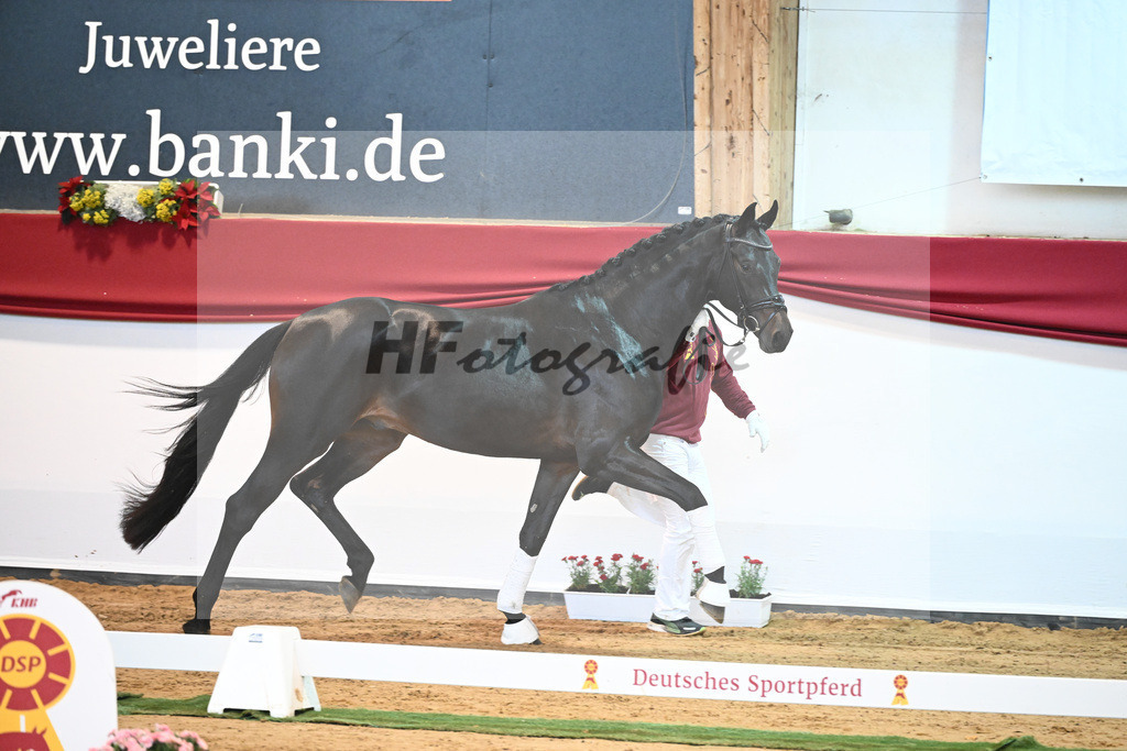 Kat-Nr. 47 So Perfect x Quaterback_Wadenspanner_43231479 | hf-fotografie - Realisiert mit Pictrs.com