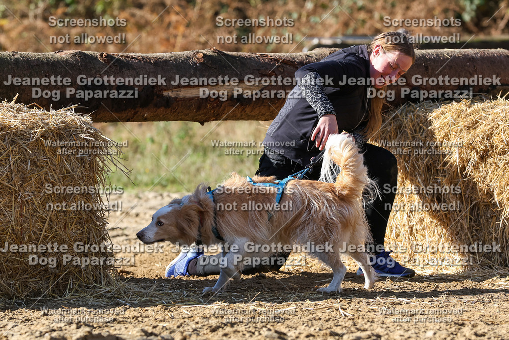 Dog Paparazzi - Strongdog 10-25-4695 | Dog Paparazzi Jeanette Grottendiek Fotografie & Videografie - Realisiert mit Pictrs.com