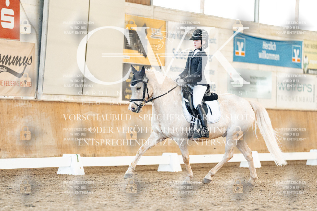 CK907566 | Turnierfotografie Pferdefotografie Trier Rheinland-Pfalz Pferdesport Reitsport Tierfotografie Sportfotografie Pferdevideo Pferdevideografie Equestrianvideography equestrianphotography  - Realisiert mit Pictrs.com