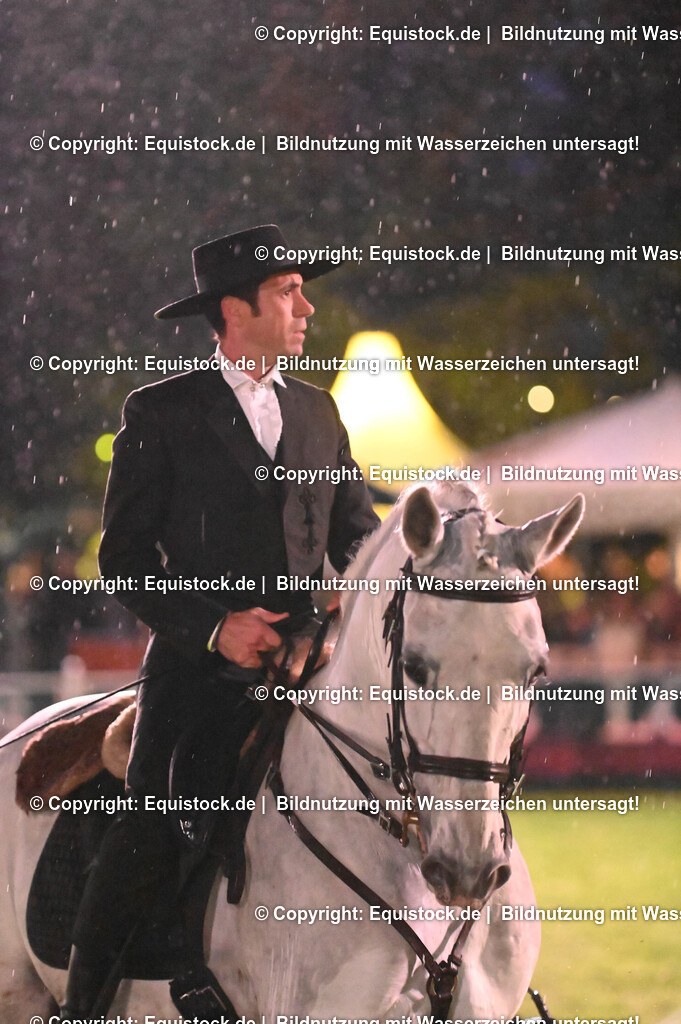 20240517_Lange-Pferdenacht_0747 | Foto: Thomas Hartig