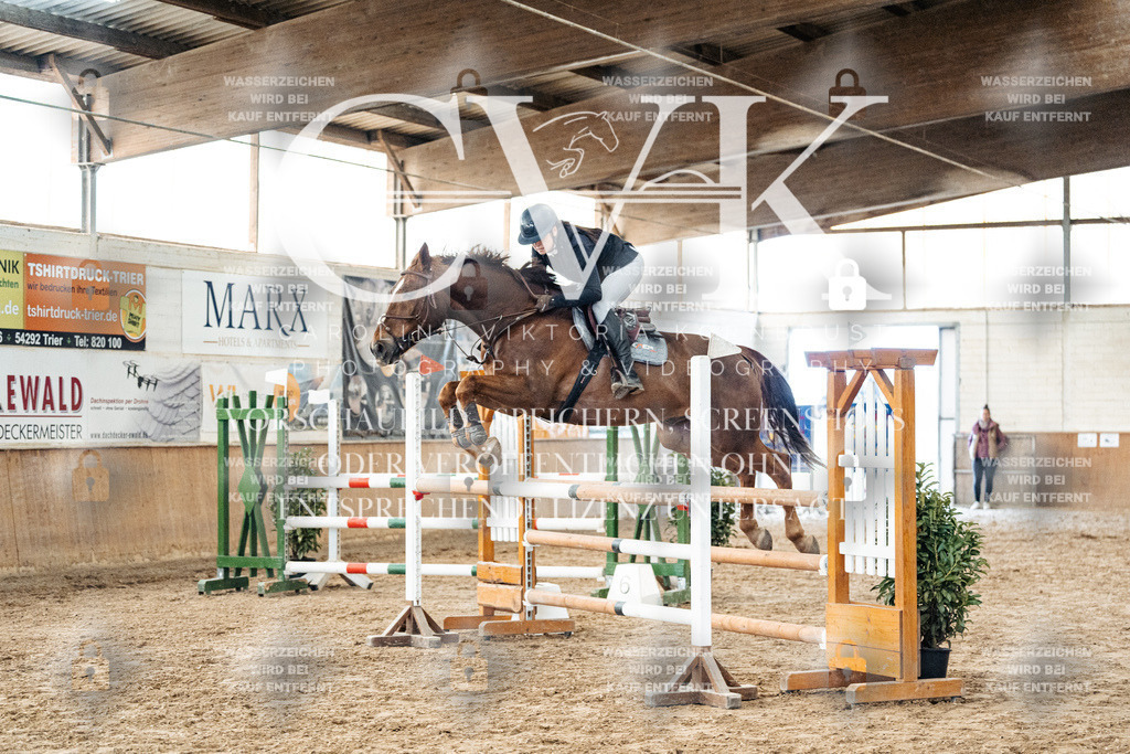 CK906176 | Turnierfotografie Pferdefotografie Trier Rheinland-Pfalz Pferdesport Reitsport Tierfotografie Sportfotografie Pferdevideo Pferdevideografie Equestrianvideography equestrianphotography  - Realized with Pictrs.com
