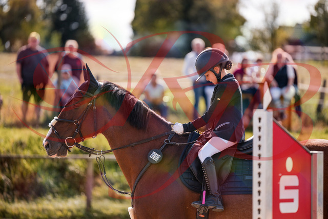2026_10_03_Siefer-Hof_143659_Z81_05722649 | Professionelle Reitsport-, Turnier- und Eventfotografie von Robert Broda. Galerien mit ausgewählten und bearbeiteten Bildern direkt online ansehen und bestellen.