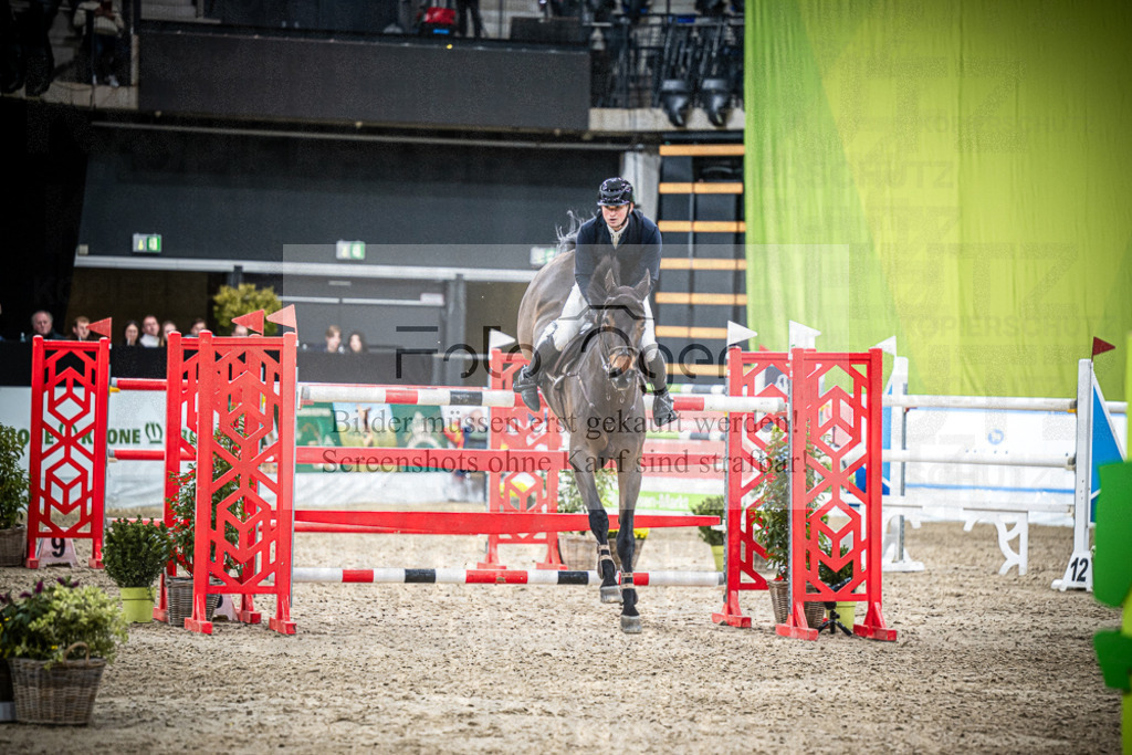 DOS_2541 | Entdecke hochwertige Reitturnierfotos von Foto Oger. Professionell, emotional und authentisch – jetzt Lieblingsmomente im Shop bestellen.Deutschlandweite Turnierfotografie. - Realisiert mit Pictrs.com