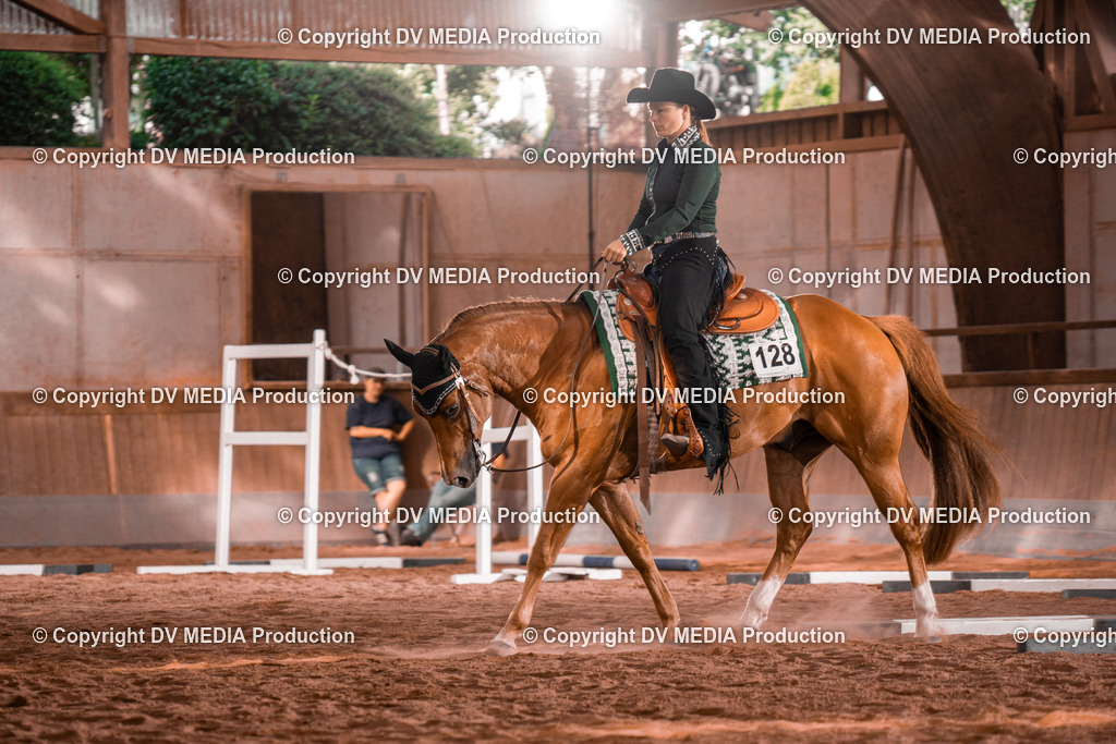 NE300165 | dv-media-shop - Realisiert mit Pictrs.com