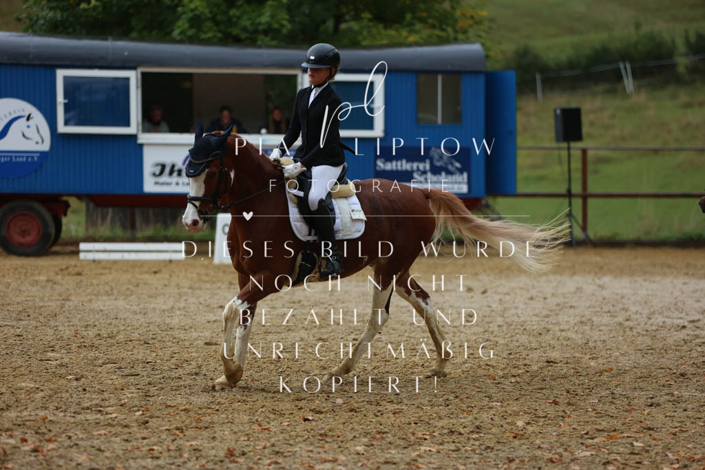 IMGM9567 | pl-fotografie