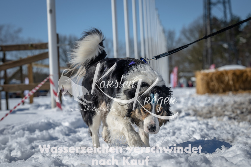1232_ZZ92664-3 | kk-dogfotos