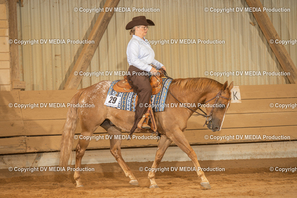 NID03631 | dv-media-shop - Realisiert mit Pictrs.com