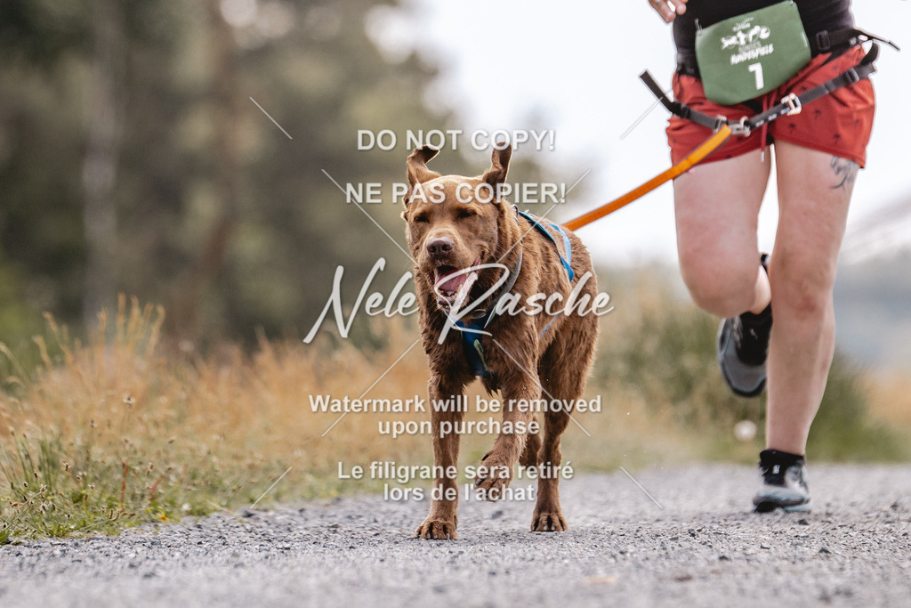 BUHU_CC_046 | nelerasche