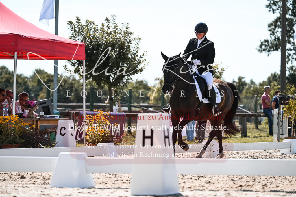 DSC_5019 | Pferde- und Turnierfotografie in Westsachsen. Pferdeportraits, Auftragszeichnungen und intuitive Kunst.