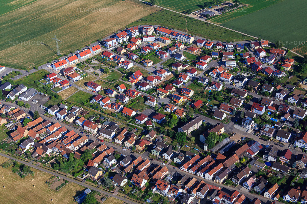 Luftbild: Rebenweg in Kandel im Bundesland Rheinland-Pfalz in Deutschland. Foto: IMG_080147.jpg vom 05.06.2015 durch Werner Riehm/FLY-FOTO.de