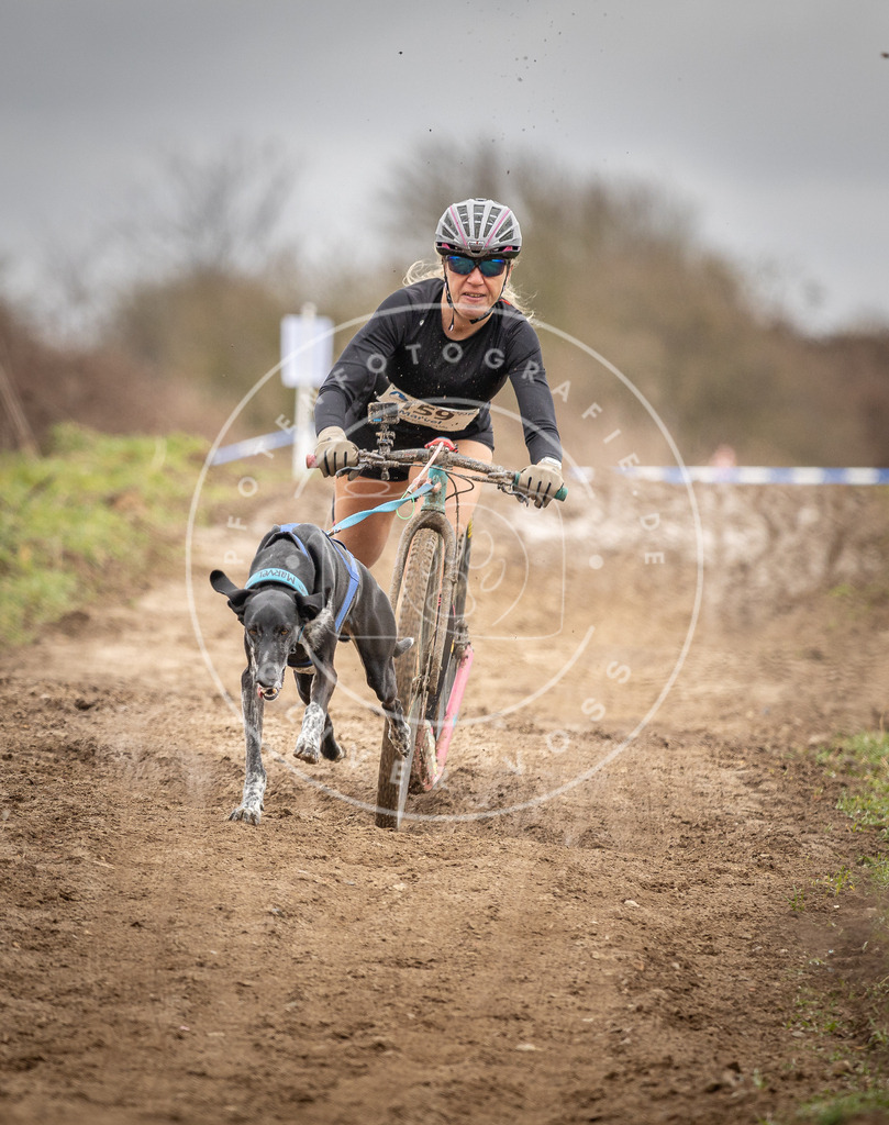 DV3A1708 | Hundefotografie, Tierfotograf, Pfotenfotografie, Fotoshooting Hund, Hunde Portrait, Hundesport, Hundeportraits, Heideshooting, Hunde, Sportfotograf, Hundefotograf, Turnierhundsport, THS,  - Realisiert mit Pictrs.com