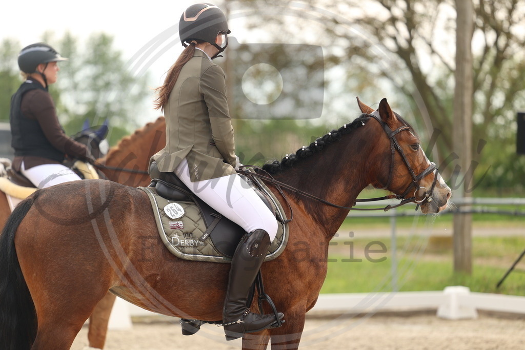 994A7939 | sabrinanicolaifotografie - Realisiert mit Pictrs.com