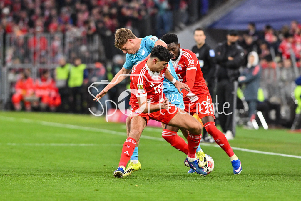 FC Bayern München - TSG 1899 Hoffenheim | MUNICH, GERMANY - 08. FEBRUARY: im Duell Aleksandar PAVLOVIC (FC Bayern Munich 45), Alexander PRASS (TSG Hoffenheim 22) und Alphonso DAVIES (FC Bayern Munich 19) während dem Bundesligamatch zwischen dem FC Bayern München und der TSG 1899 Hoffenheim am 21. Spieltag in der Allianz Arena / DFL REGULATIONS PROHIBIT ANY USE OF PHOTOGRAPHS AS IMAGE SEQUENCES AND/OR QUASI-VIDEO