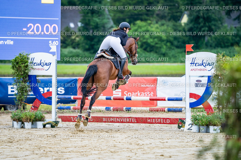 DSC00959 | Pferdegrafie