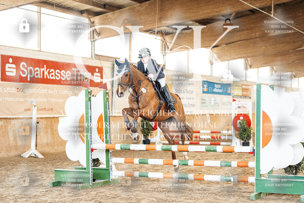 CK903746 | Turnierfotografie Pferdefotografie Trier Rheinland-Pfalz Pferdesport Reitsport Tierfotografie Sportfotografie Pferdevideo Pferdevideografie Equestrianvideography equestrianphotography  - Realized with Pictrs.com