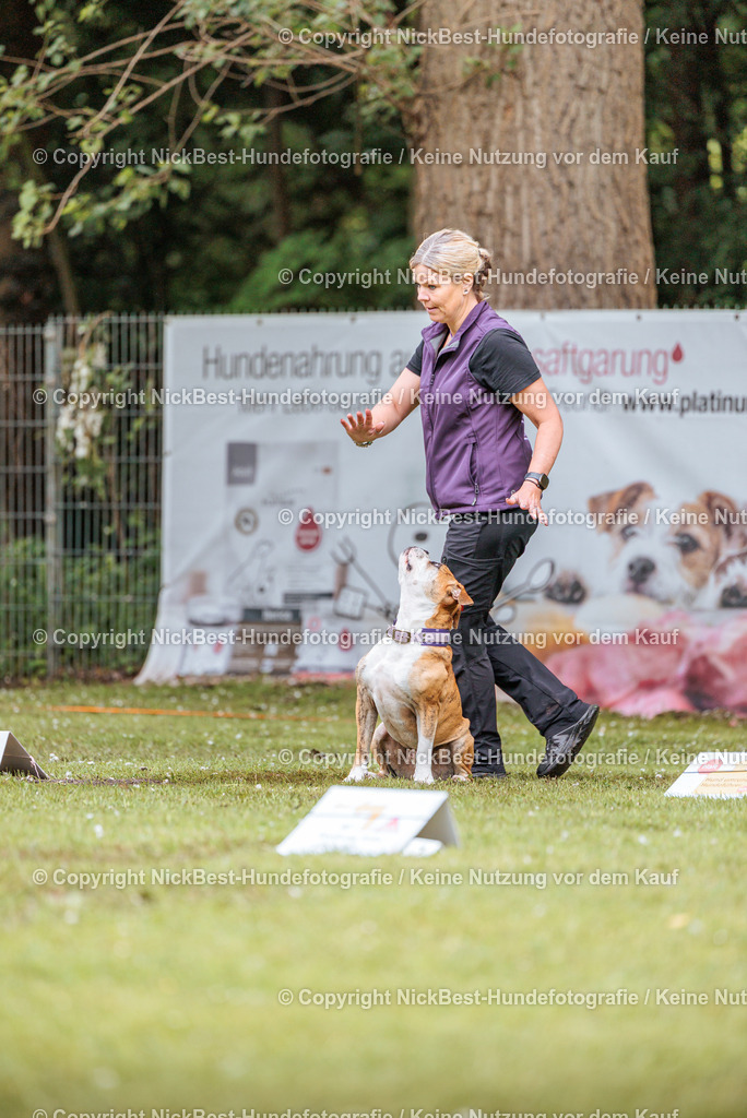 RO-Blumenthal-2026-Nickbest-Hundefotografie-1146 | Dein Hund! Dein Moment! Deine Erinnerungen! Hundefotografie in Bremen Blumenthal. Ich fange die besonderen Momente deines Vierbeiners ein – ob Indoor mit Blitzanlage oder in der freien Natur. Sicher dir dein Moment und dein Termin für eure Erinnerungen.
