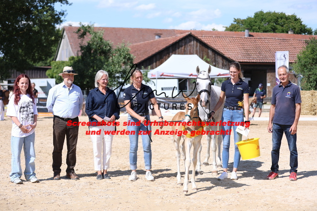 Fohlenschau_Schwäbisch_Hall_Ponys_SIEGERFOHLEN_KN 43_5 | lmwpictures - Realisiert mit Pictrs.com