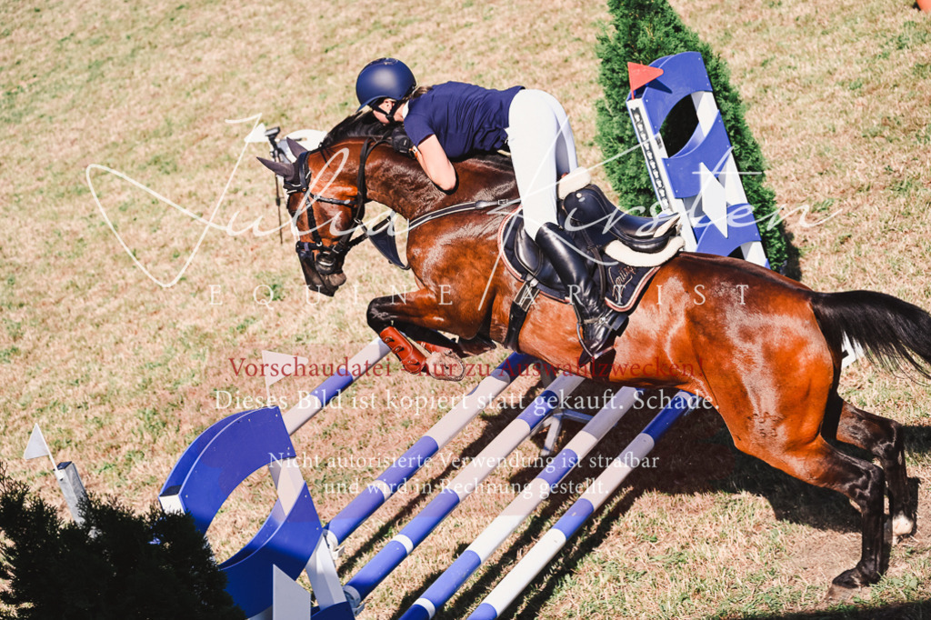 DSC_2116 | Pferde- und Turnierfotografie in Westsachsen. Pferdeportraits, Auftragszeichnungen und intuitive Kunst.