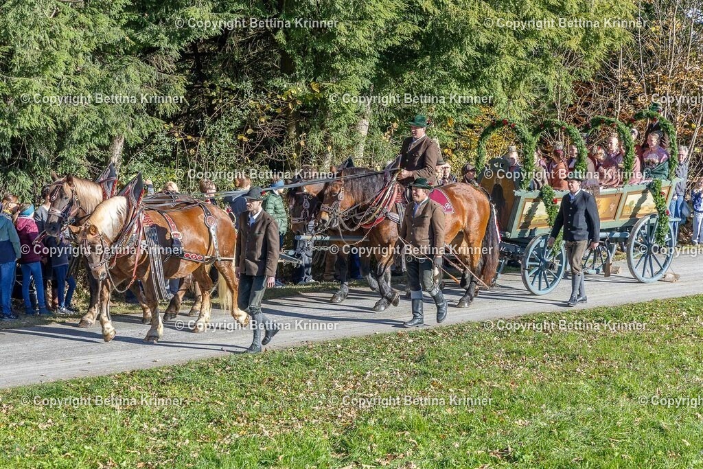 LBT25-464 | foto-bettina-krinner - Realisiert mit Pictrs.com