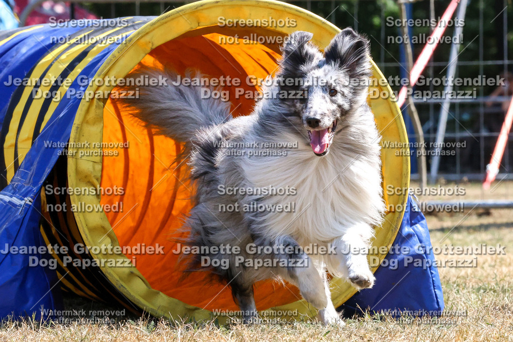 Dog Paparazzi -  Agiltiy Greffen 0826-1088 Kopie | Dog Paparazzi Jeanette Grottendiek Fotografie & Videografie - Realisiert mit Pictrs.com