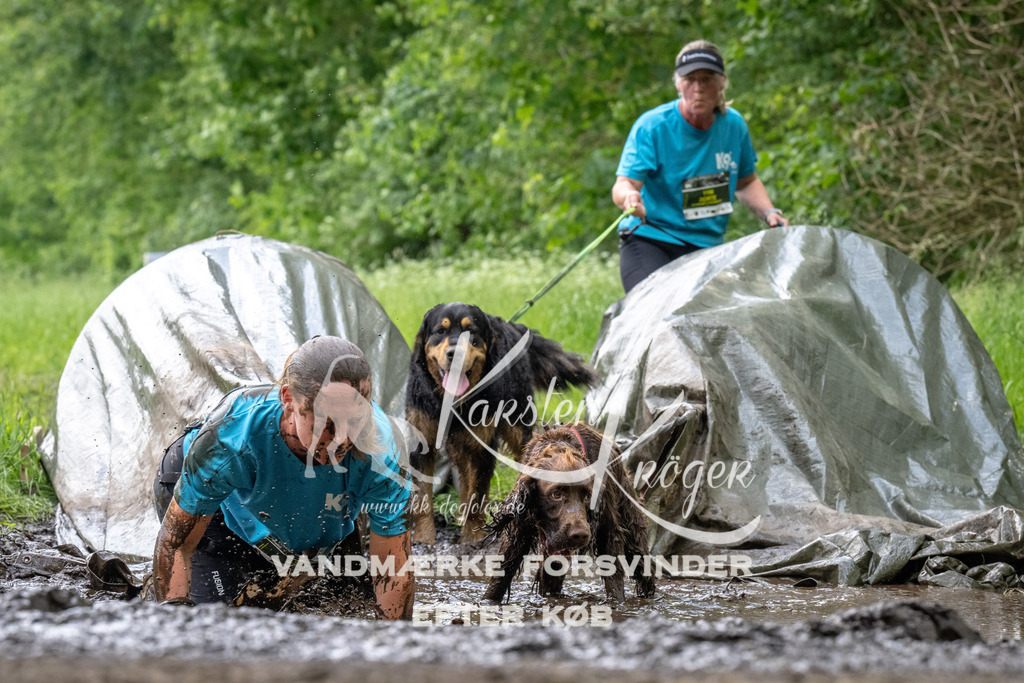 1243_ZZ93236 | kk-dogfotos