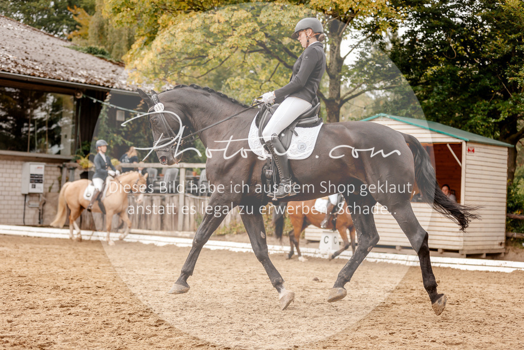 3I6A7888 | Stimmungsvolle Portraits und Reitsportfotografie im Ruhrgebiet und im Münsterland.

Pferdefotografie, Hundefotografie, Tierfotografie, Reportagen, Portraits von Tier und Mensch, Turnierfotografie in Bochum, Recklinghausen, Marl, Haltern am See, Dülmen.. - Realisiert mit Pictrs.com