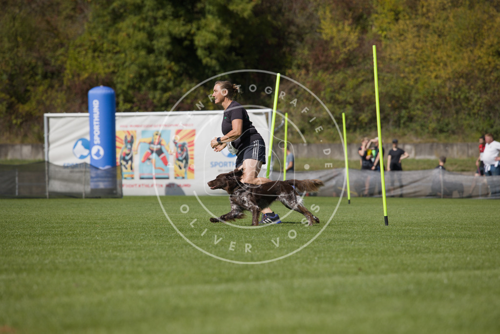 0L8A2999 | Hundefotografie, Tierfotograf, Pfotenfotografie, Fotoshooting Hund, Hunde Portrait, Hundesport, Hundeportraits, Heideshooting, Hunde, Sportfotograf, Hundefotograf, Turnierhundsport, THS,  - Realisiert mit Pictrs.com