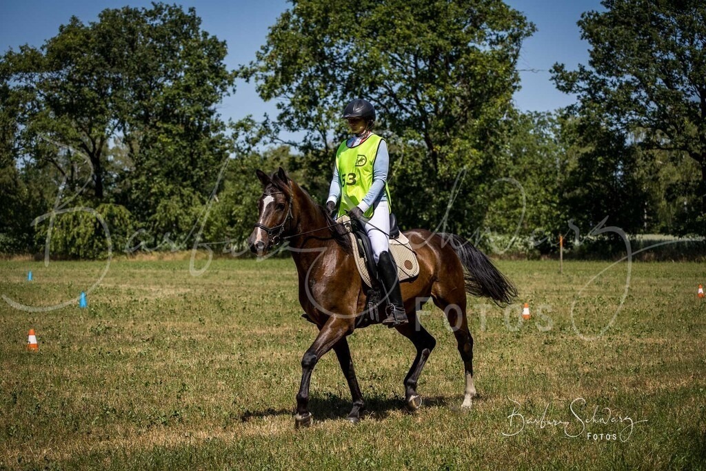 CJP_2026-06-26_58 | Stimmungsvolle Fotografie von Pferden, fotografische Begleitung von Veranstaltungen, Golfturnieren und Distanzritten - Realisiert mit Pictrs.com