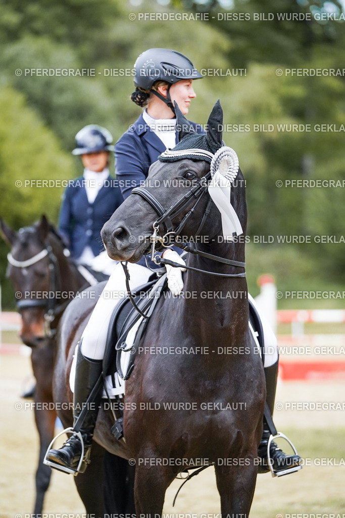 DSC02565 | Pferdegrafie