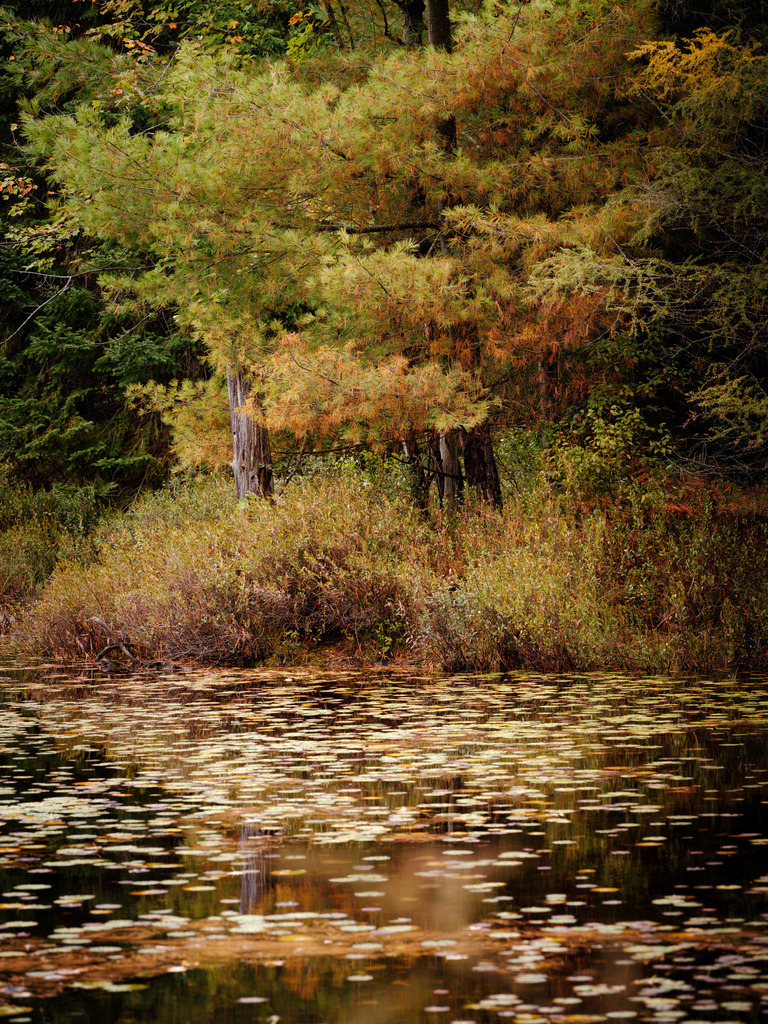 SilvanoPedrett_preview_Wasser-31 | silvanopedrett - Realisiert mit Pictrs.com